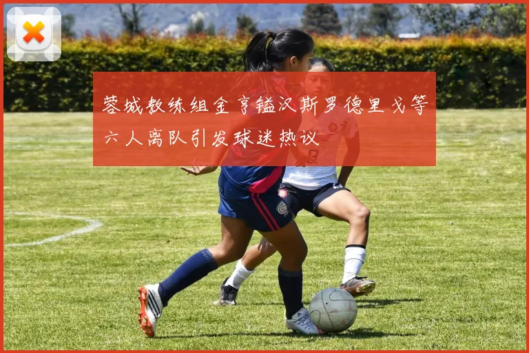 蓉城教练组金亨镒汉斯罗德里戈等六人离队引发球迷热议