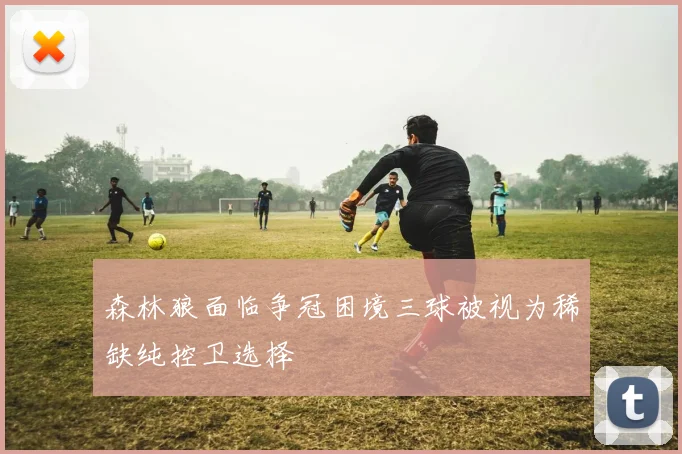 森林狼面临争冠困境三球被视为稀缺纯控卫选择