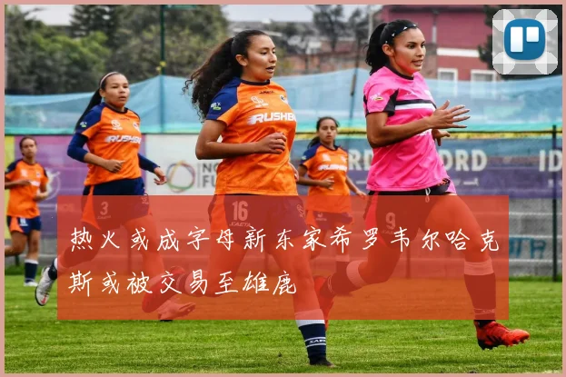 热火或成字母新东家希罗韦尔哈克斯或被交易至雄鹿